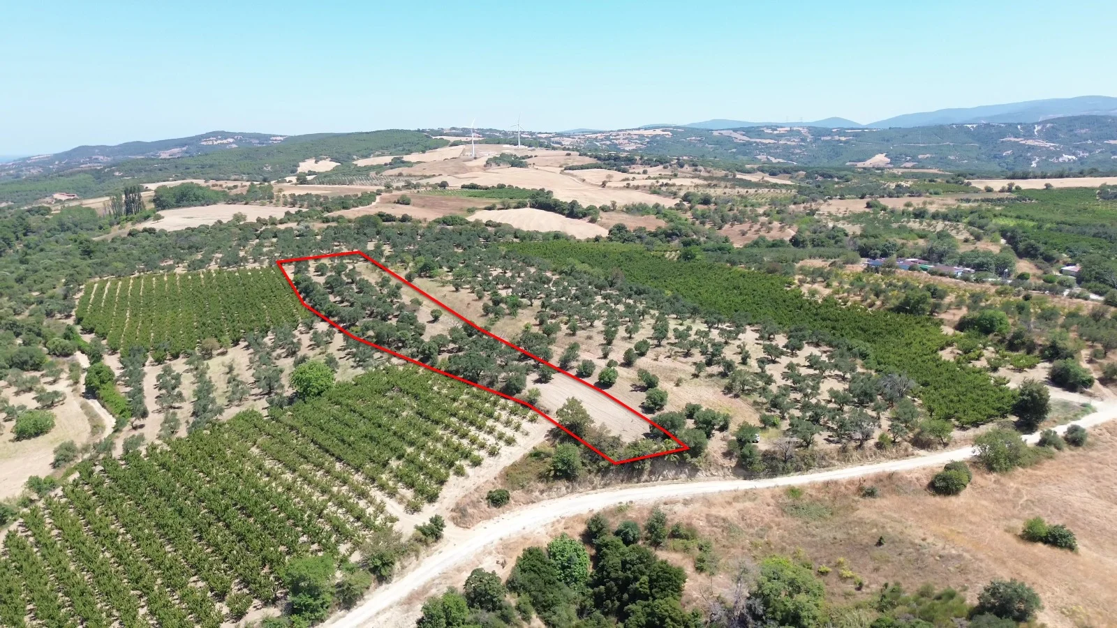 ÇANAKKALE LAPSEKİ – ÇARDAK’TA SATILIK TARLA