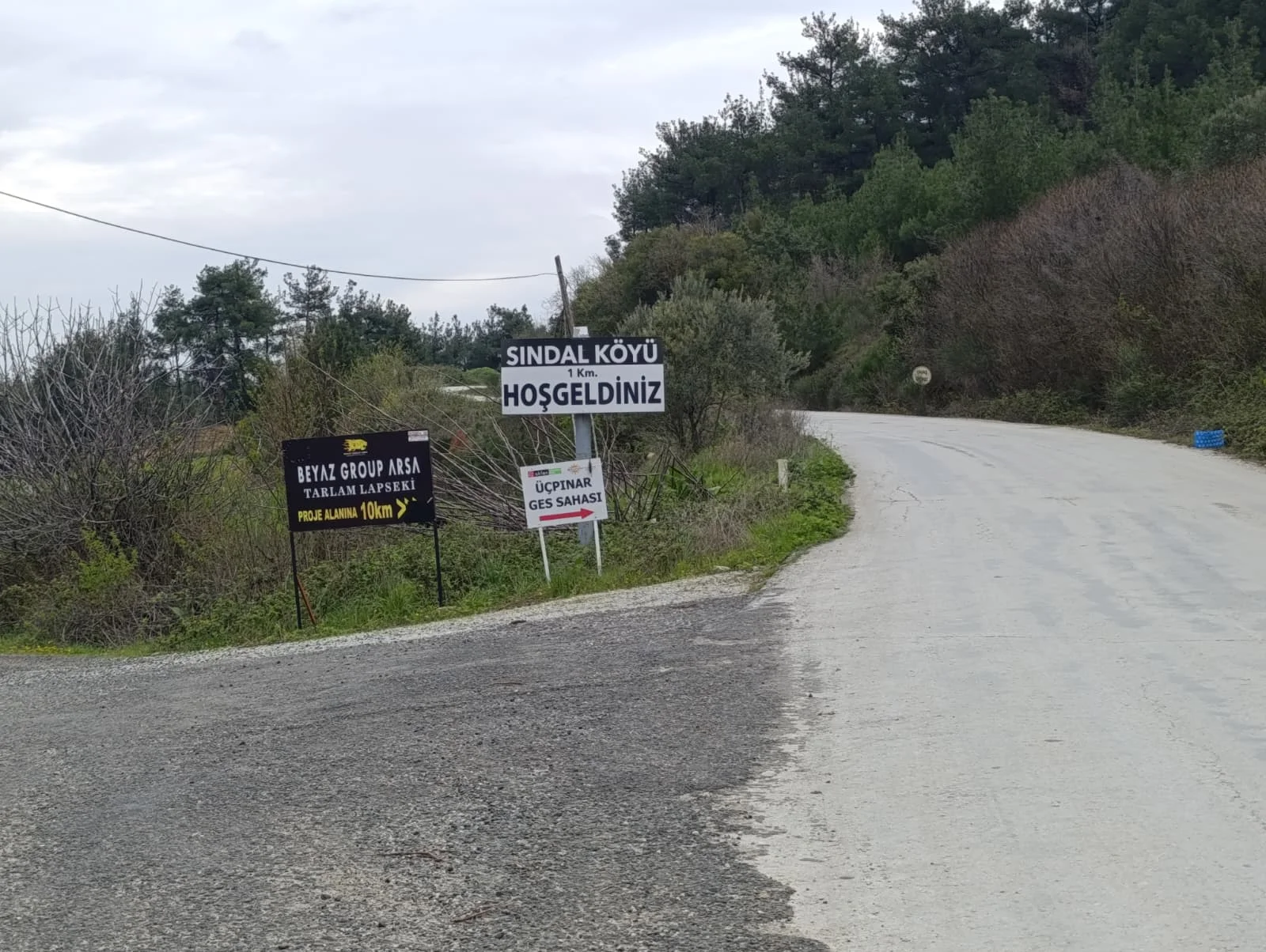 BU TARLA KENDİ KENDİNİ ÖDÜYOR! 25 DÖNÜM ŞEFTALİ TARLASI