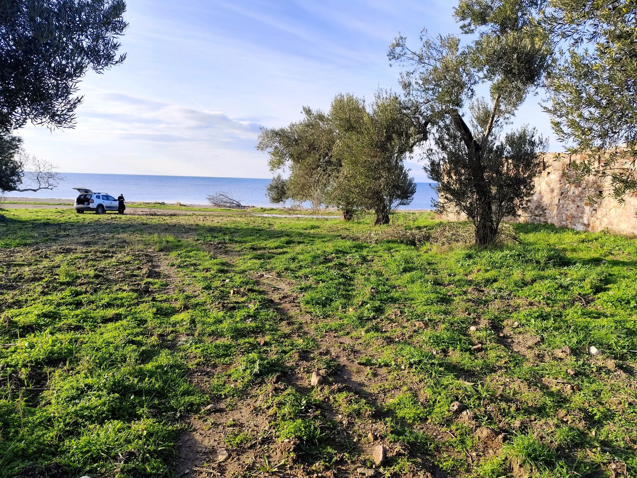 Lapseki Emlakçı Rehberi: Cumhuriyet Mahallesi, Dalyan ve Zincirbozan'da Arsa ve Villa Alırken Bilinmeyenler