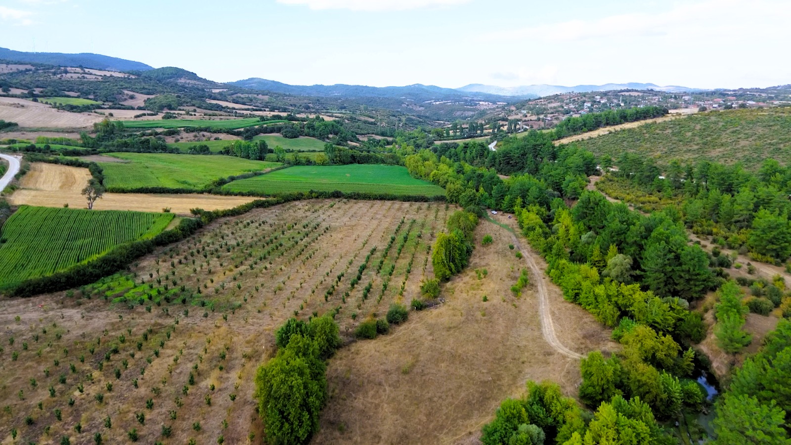 9.900 METREKARE DERE KENARI FIRSAT ARAZİ