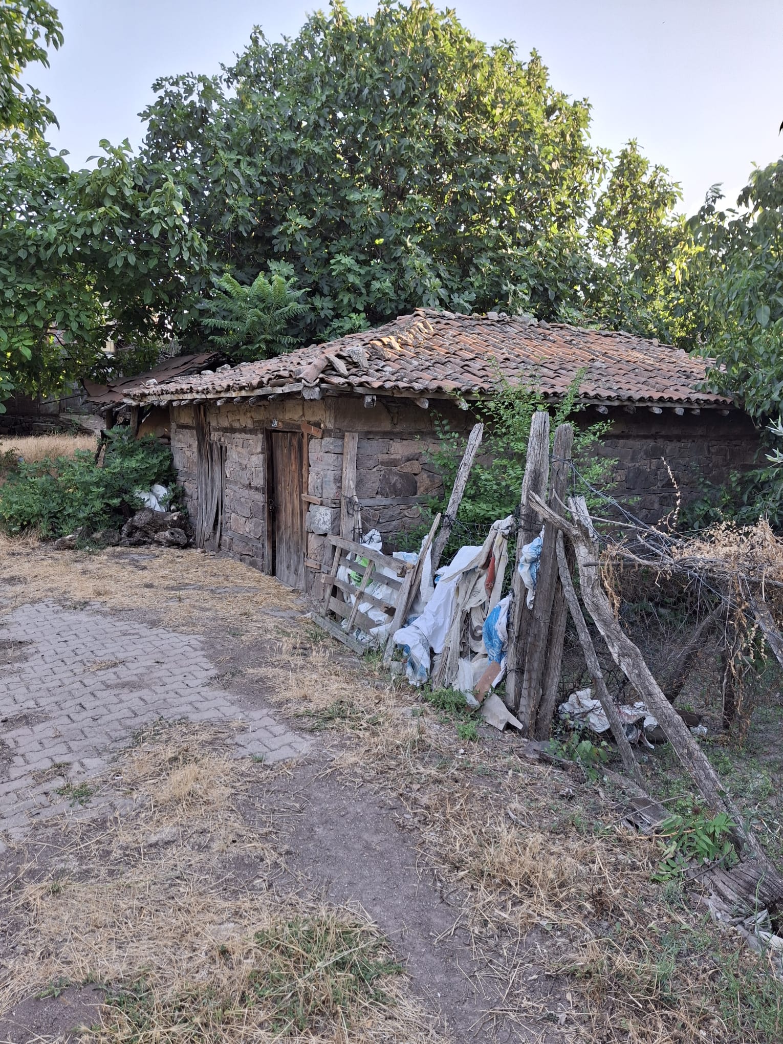 TAŞ EV VE SAMANLIK